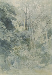 In Rokeby Park, c.1805 door John Sell Cotman